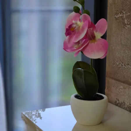 Hill Isidorovic Apartamento Divčibare