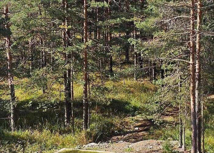 Hill Isidorovic * Divcibare