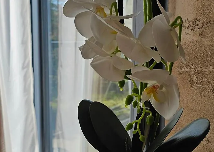 Hill Isidorovic Apartman