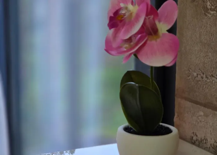 Hill Isidorovic Apartman Divcibare